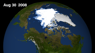 Arctic sea ice still for August 30, 2008