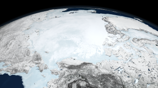 Image of Arctic sea ice on March 11, 2008.