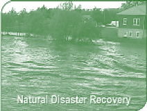 Natural Disaster Recovery - Flood Cleanup