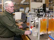 WHOI zooplankton ecologist checks water samples in his laboratory.