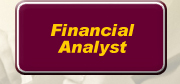 Financial Analyst