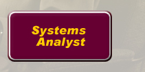 Systems Analyst