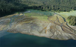 Example of estuary sampling site in southeast Alaska