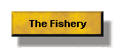 The Fishery