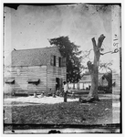 Port Royal Island, S.C. African Americans preparing cotton for the gin on Smith's plantation