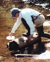 USGS scientist collecting a water sample from a pond -- See full caption below