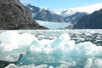 photo of glacier or iceberg