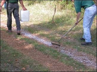 Figure 9—Application of Soil-Sement to bridle trail by drip-bucket method. Rakes were used to mix binder with EWF and level the trail. 