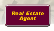 Real Estate Agent