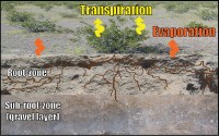 Belowground and aboveground features and processes being evaluated at the Amargosa Desert Research Siteâ€”soil properties, root distribution, transpiration, and evaporation. USGS scientists are quantifying the movement of soil moisture and tritium from the shallow unsaturated zone to the atmosphere