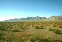 Distant view of the research site and the waste facility looking north