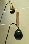 image of egg hydrophone