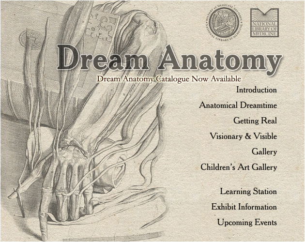 Dream Anatomy Homepage