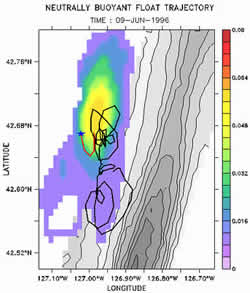 image of RAFOS trajectory and hydrothermal plume