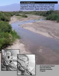Upper Gila River report