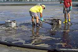 Two people shoveling oil off beach