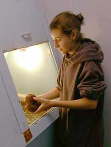 Student gets hands-on experience in sea urchin research