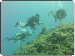 An NRAS team collecting data near Namu Atoll in the Marshall Islands.