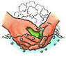 Picture of Hand washing