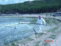 USGS scientist using a long sampling device to collect a sample of liquid from a municipal holding pond in Colorado as part of the Source Characterization Study for Emerging Contaminants Project