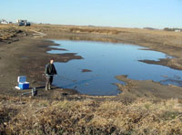 Waste samples being collected from a swine manure holding pond in Iowa for a study of veterinary antibiotics in the environment