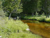 This location on the North Branch Boardman River, MI, was used to represent “background” conditions (theoretical uncontaminated conditions) for the National Stream Reconnaissance for Emerging Contaminants Project