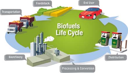 The biofuels life-cycle: At each stage of the life-cycle, energy is spent to harvest, transport, refine, distribute, and use the biofuels.