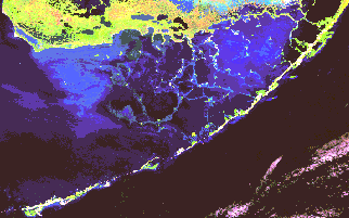 satellite image of Florida Bay