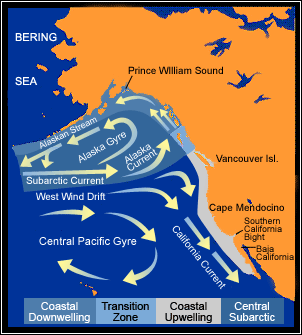 map of current patterns in the U S Northeast pacific region