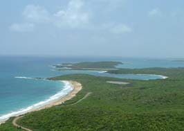 Vieques coastline