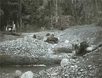 Strandley Manning Reconfiguring the stream channel