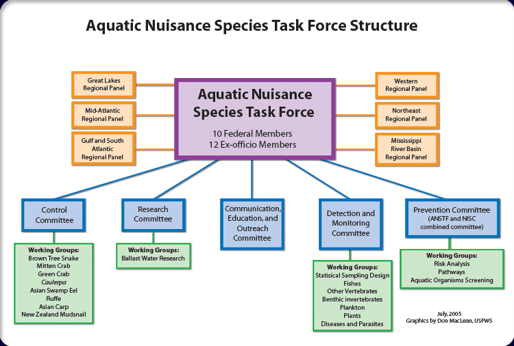 ANS Task Force Structure