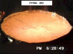 polypropylene specimen