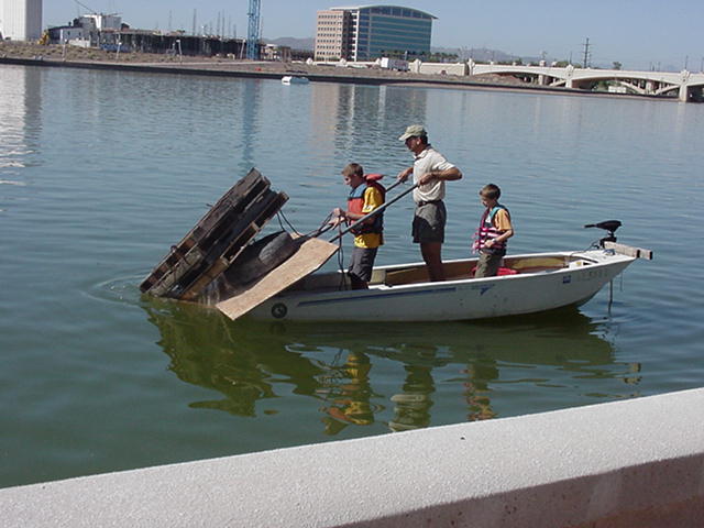 Fish habitat at Town Lake