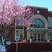 Photo: KCIA terminal with trees in bloom