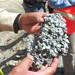 Photo: A porous concrete sample.