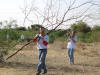 Town Lake Green-up Clean-up