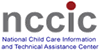 Image of NCCIC logo