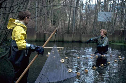 workers remove toxic debris standing in water with nets