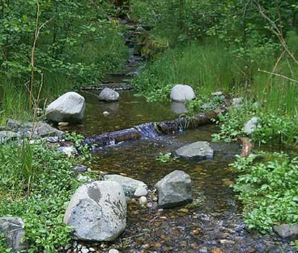 fully restored fish habitat