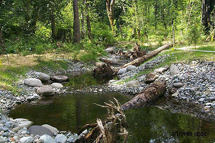 the fully restored fish habitat