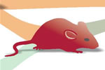 Mouse graphic