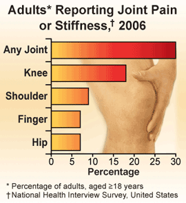 Chart: Adults Reporting Joint Pain or Stiffness, 2006.
