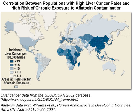 Aflatoxin & Liver Cancer: Correlation Between Populations with High Liver Cancer Rates and High Risk of Chronic Exposure to Aflatoxin Contamination