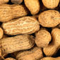 peanut policy change