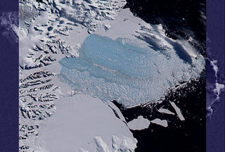 The last image is from 7 March, with thousands of sliver icebergs and a large light
blue area of very finely divided bergy bits where the shelf formerly lay. Brownish streaks within the
floating chunks mark areas where rocks and morainal debris are exposed from the former underside and
interior of the shelf. The last phases of the retreat totalled approximately 2600 square km.
