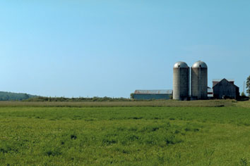 Farm scene