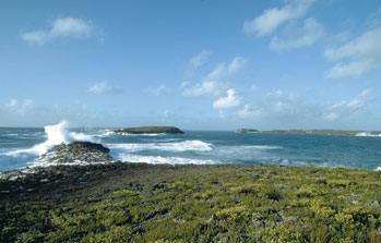 Coastal view with waves breaking