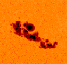 MDI white light image of sunspot