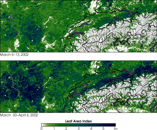 Map of spring greening based on Leaf Area Index